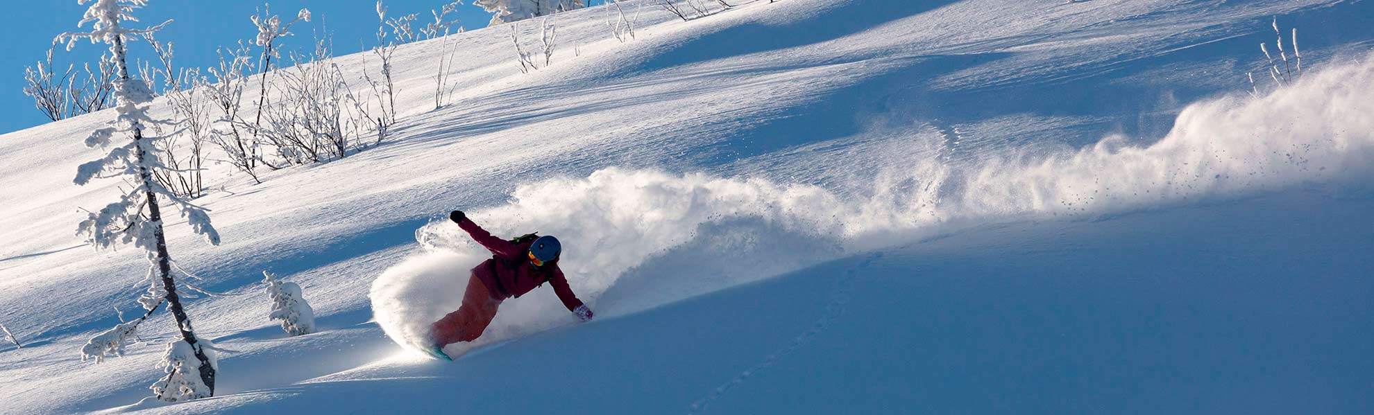 MMC Marketing Multimedia Consulting Schneider - wir gehen zusammen einen anderen Weg MMC Marketing Multimedia Consulting Schneider - wir gehen zusammen einen anderen Weg